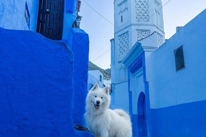 FES TO Chefchaouen Day Trip- luxury Private Tour - Return to Fes: Calm Evening Drop-Off