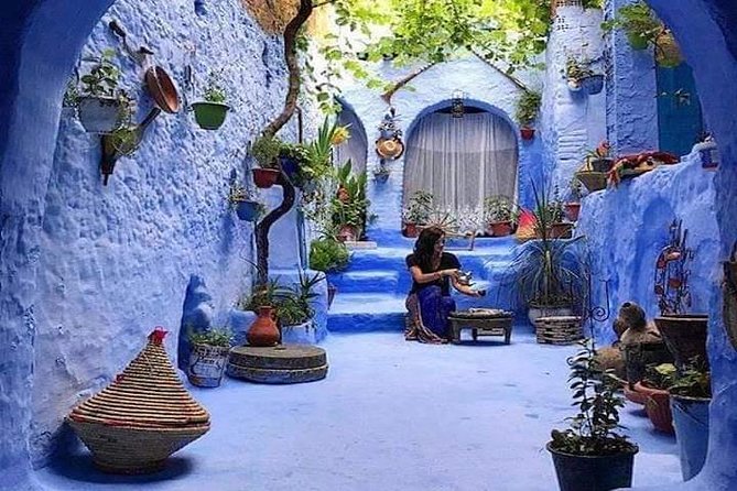 FES TO Chefchaouen Day Trip- luxury Private Tour - Price and Value: What You’re Really Paying For
