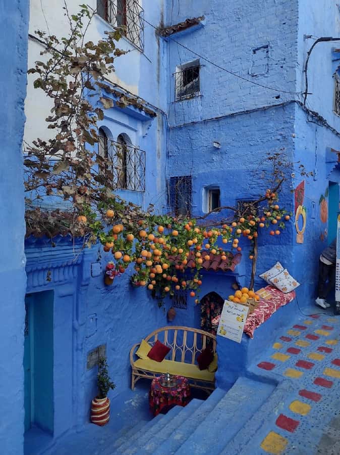Fes to Chefchaouen Day Trip multi languages(EN/FR/ES/IT/AR) - Comfort on the Bus: What to Expect Without Sugarcoating
