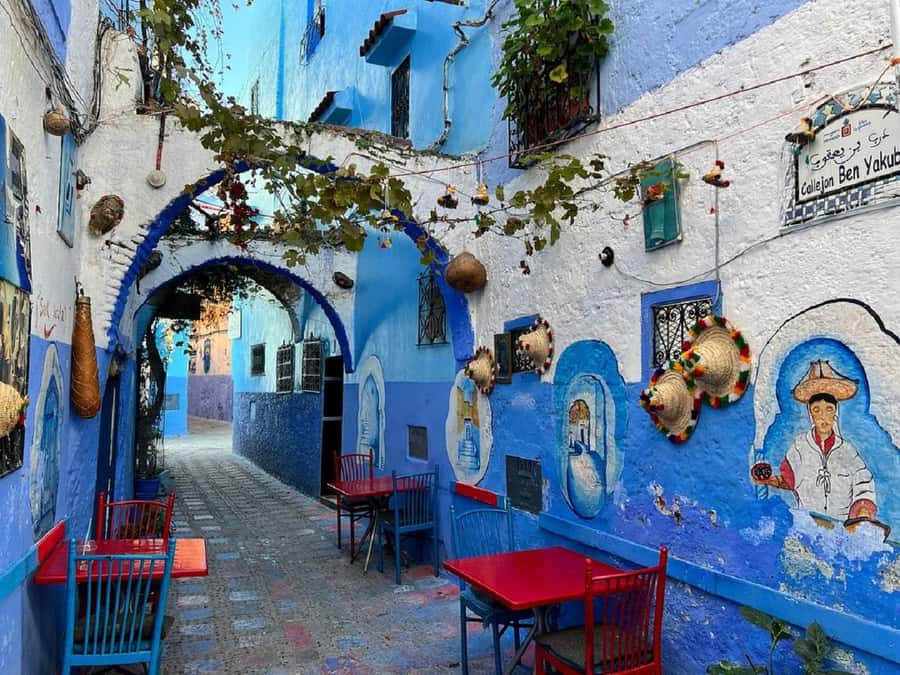 Fes to Chefchaouen Day Trip multi languages(EN/FR/ES/IT/AR) - Fes to Chefchaouen in One Day: The 12-Hour Reality