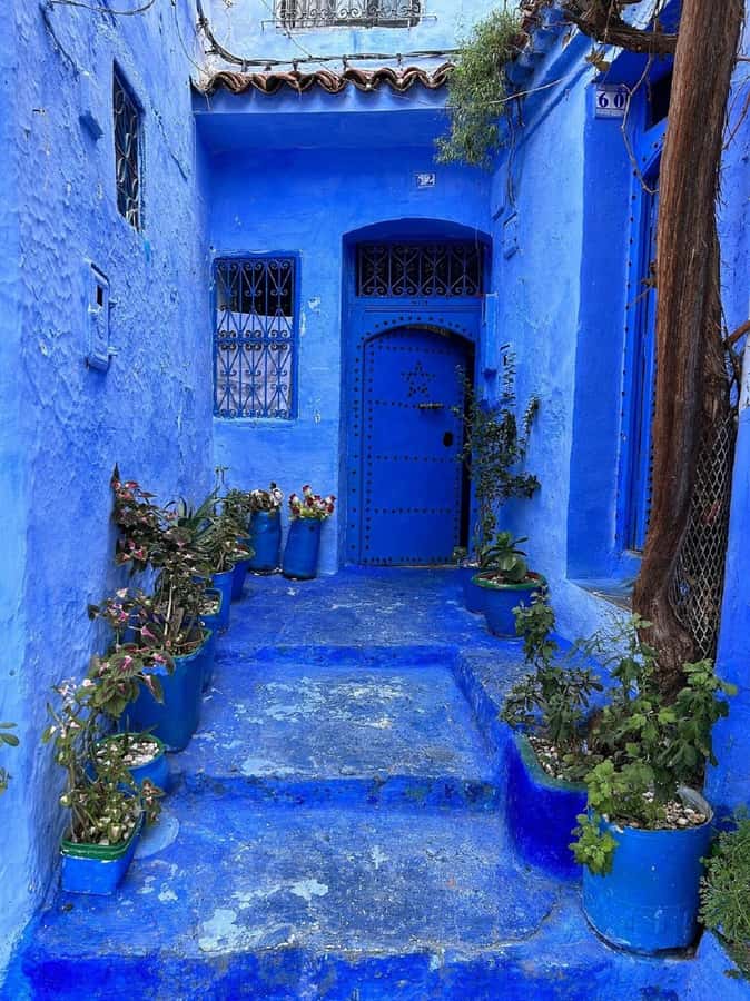 Fes to Chefchaouen Day Trip multi languages(EN/FR/ES/IT/AR) - The Three En-Route Stops: Sidi Shahid Dam and a Café Break