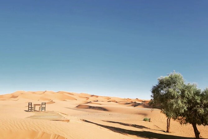 Fes to Desert journey through the heart of Morocco - Ifrane and the Middle Atlas warm-up: the Morocco that isn’t desert