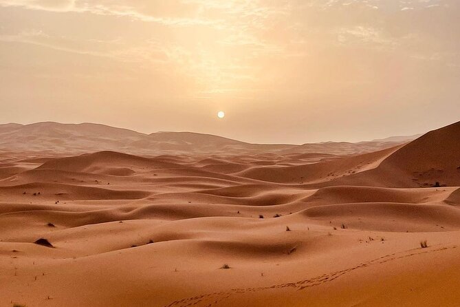 Fes to Desert journey through the heart of Morocco - Merzouga in real time: camel trek, sunset dune, sandboarding, and campfire night