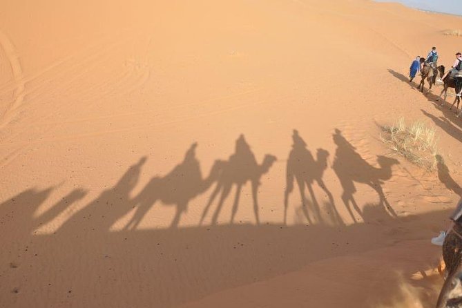 Fes to Fes 2 days via Merzouga desert tour - Key highlights to expect