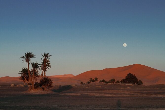 Fes to Fes 2 days via Merzouga desert tour - From Fez at 8:00 AM to Ifrane’s Swiss look