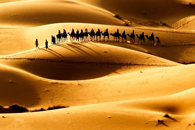 Fes to Fes 2 days via Merzouga desert tour - The ride back to Fez: comfort stops and timing