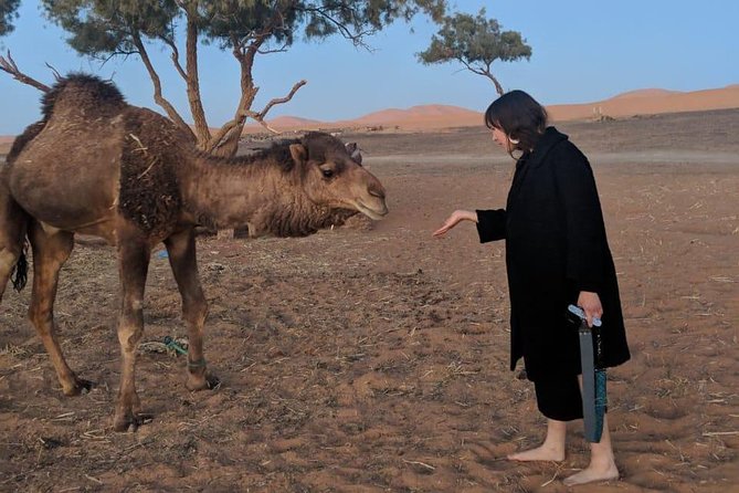 Fes To Fes Desert Tour 3 Days 2 Nights Merzouga - Guide and service: what makes it feel personal