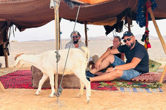 Fes to Fes Private Desert tour 1-night 2-Day Tour luxury camps - Ifrane, Midelt, and the Ziz Canyon pause that breaks up the trip