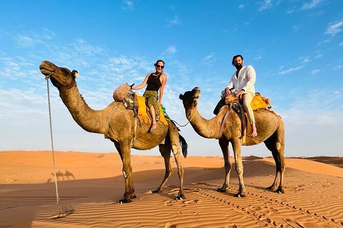 Fes to Fes Private Desert tour 1-night 2-Day Tour luxury camps - Price and value: what $319.40 covers (and what it doesn’t)