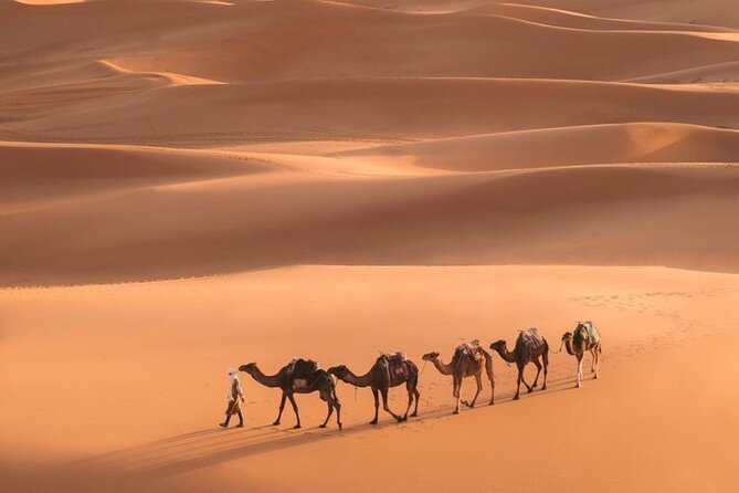 Fes To Marrakech: 3-Day Desert Tour - Hitting the Road: The Long, Comfortable Start From Fes