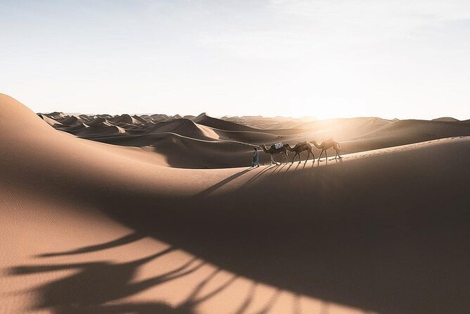 Fes To Marrakech: 3-Day Desert Tour - Todra Gorge and Dades Valley: Big Rock Walls and Classic Southern Morocco