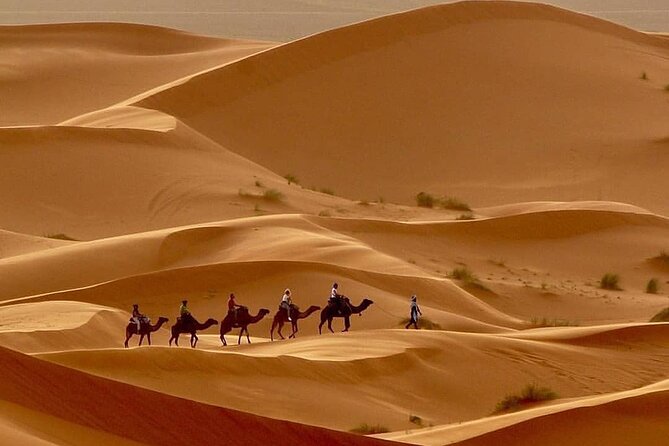 Fes To Marrakech: 3-Day Desert Tour - Price and What You’re Really Paying For