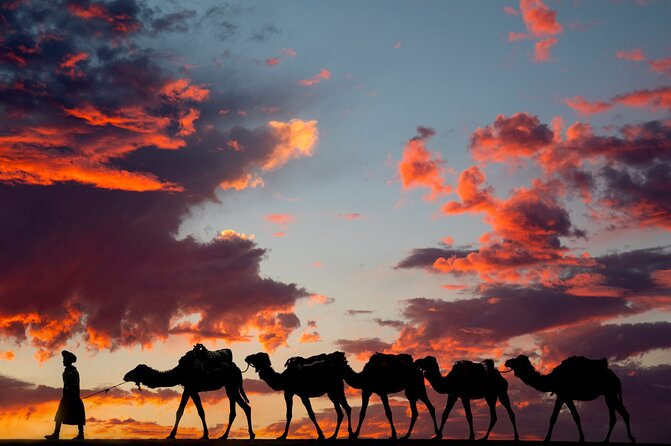 Fes To Marrakech: 3-Day Desert Tour - Comfort, Food, and the Reality of Desert Night Logistics