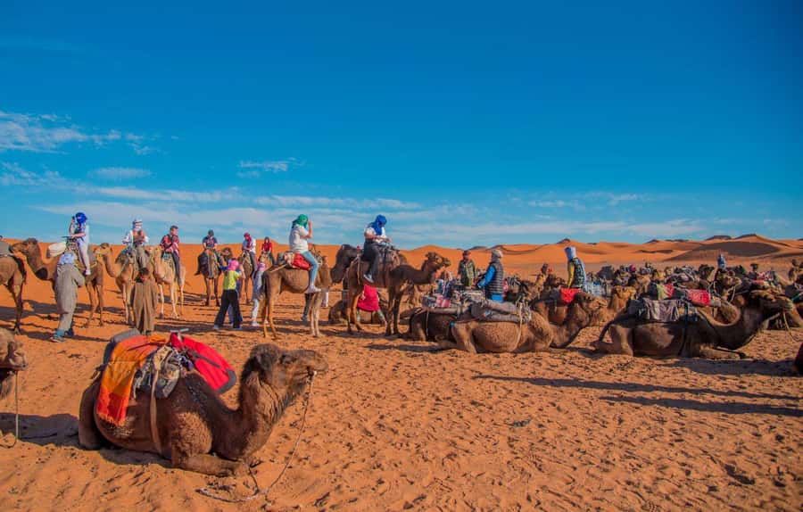 Fes to Marrakech: 3-Day Sahara Tour with Merzouga & Camel - Key things I’d circle in advance