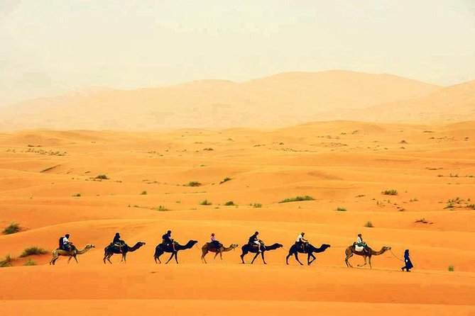 fes to marrakech 3 days desert tour - Key things to know before you go