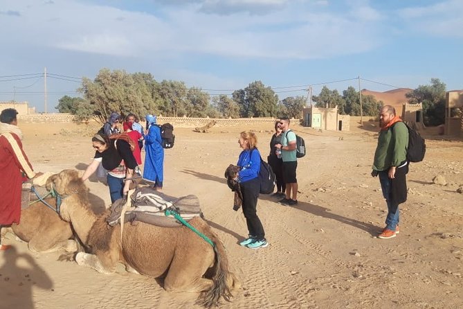 fes to marrakech 3 days desert tour - Middle Atlas villages to Azrou: cedars, monkeys, and quick nature breaks