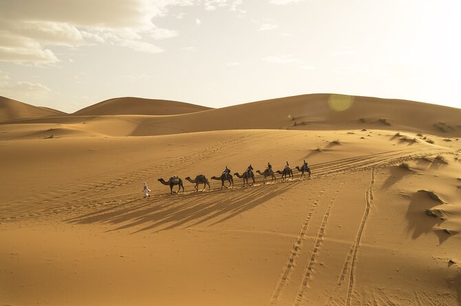 Fes to Marrakech 3 Days Desert Tour - Tips to make the trip feel smooth instead of exhausting