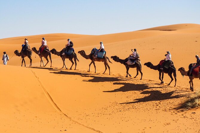 Fes To Marrakech : 3 Days Tour Via The Desert Of Merzouga & Camel - Ouarzazate cinema sites and Aït Ben Haddou kasbah: history you can point to