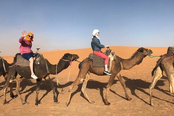 Fes To Marrakech : 3 Days Tour Via The Desert Of Merzouga & Camel - Price and value: what $389.29 buys you (and what it doesn’t)