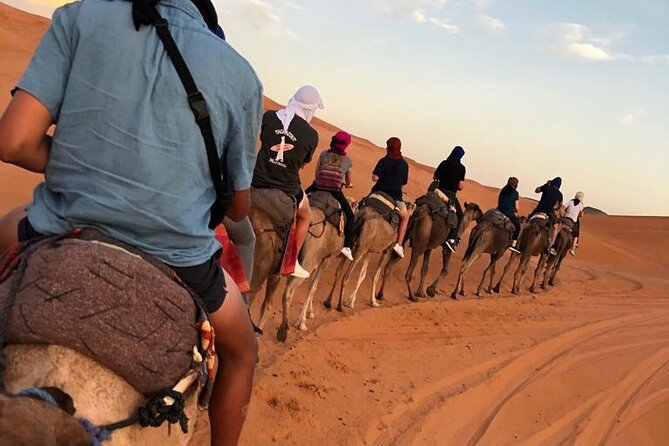 Fes To Marrakech : 3 Days Tour Via The Desert Of Merzouga & Camel - Who should book this Fez–Marrakech desert loop