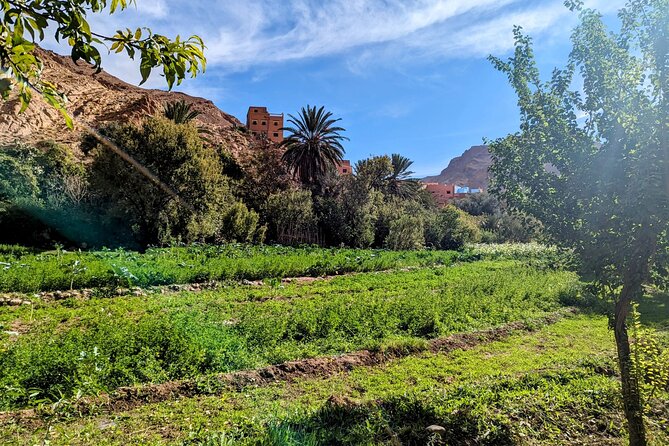 Fes To Marrakech : 3 Days Tour Via The Desert Of Merzouga & Camel - Should you book this tour?