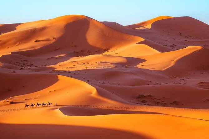 Fes to Marrakech desert tour 3 days - The kind of guide you want (and the comfort checks to expect)