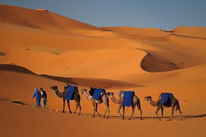 Fes to Marrakech via Desert Tour 2 Days 1 Night - Group size, pickup, and how to handle the schedule (without losing the fun)