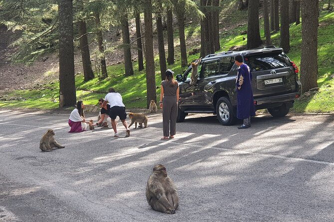Fes to Merzouga Desert Tour & Back in 2 Days - Day 1: From Fez through Ifrane and cedar forests (a road trip with built-in drama)