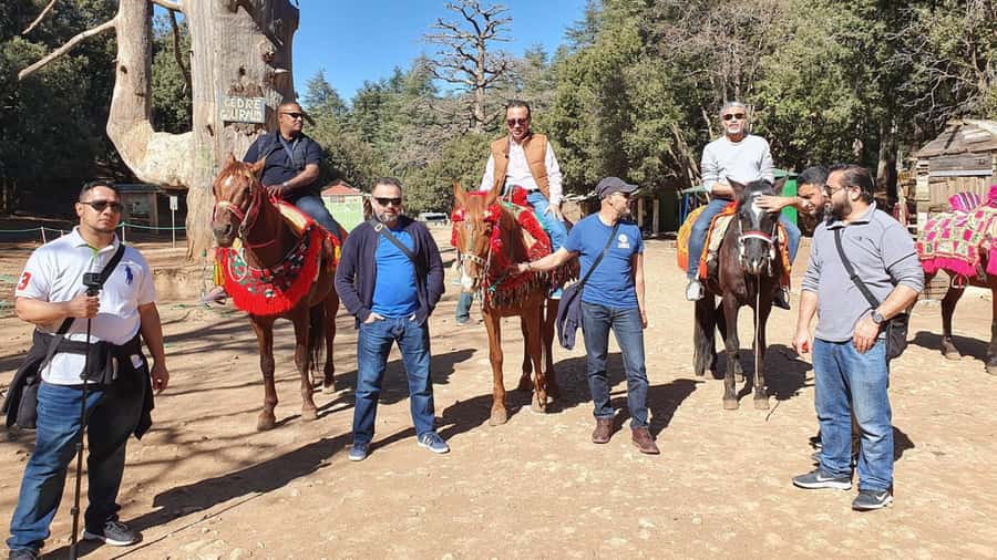 Fes to Middle Atlas Mounains Berber Villages caves Day Trip - Pickup, Timing, and What 6–7 Hours Really Means