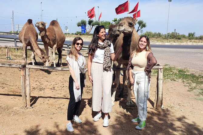 Fes to Sefrou and Bhalil day trip - How long it really takes (and how to plan your day)