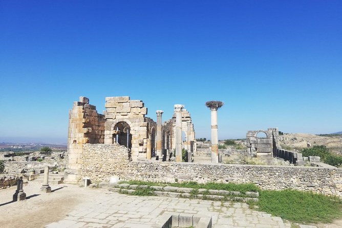 Fes to Volubilis, Moulay Idriss and Meknes Private Day Trip - Price and value: what $72.12 really covers