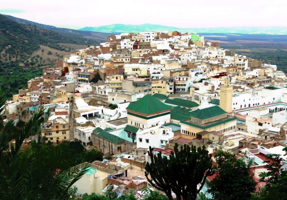 Fes: Volubilis Roman Ruins, Mouly Idriss, & Meknes Day Trip - Meknès Medina: Gates, Royal Palace Area, and Spanish-Moorish Style