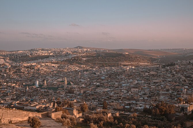 Fez Guided Tour - Artisan stops, spices, and souks: where your guide can save time
