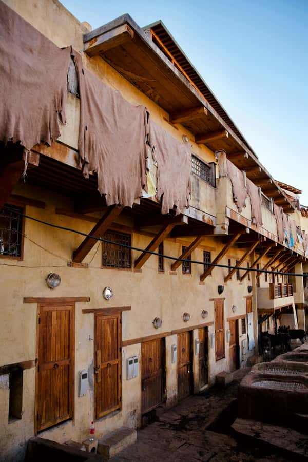 Fez: Guided Walking Tour of the Historic Medina - Tanneries: the sensory stop that makes the tour real