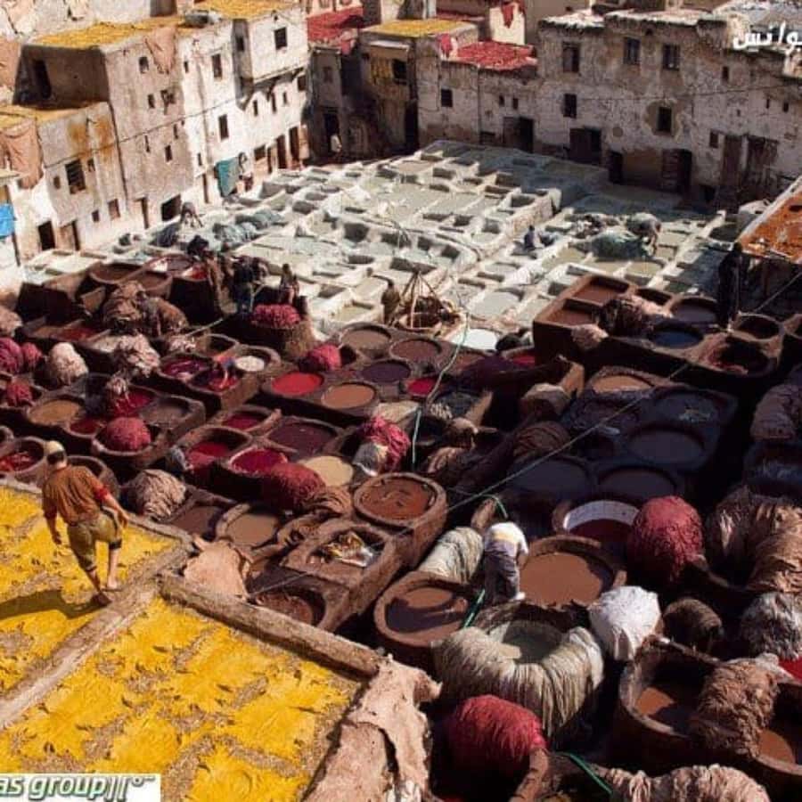 Fez: Guided Walking Tour of the Historic Medina - Artisan workshops: what you’re paying for (and why it costs)