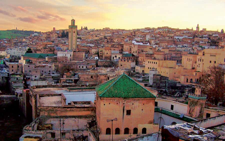Fez: Half-Day Sightseeing Tour - Moulay Idriss Mausoleum: The Festival Esplanade Stop