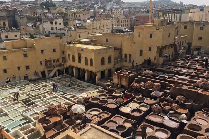 Fez Half Day Tour - Price and what $75 buys you in Fez