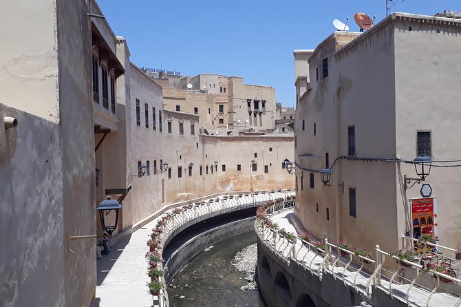 Fez Medina 4-Hour Guided Walking Tour - Chouara Tannery: Smell, Craft, and a Real Sense of Process