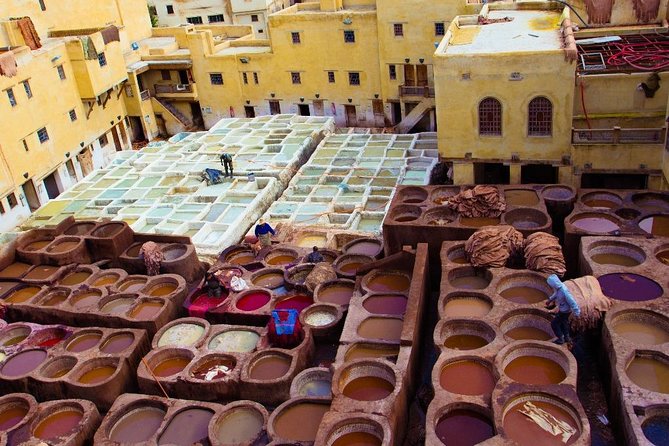 Fez Medina 4-Hour Guided Walking Tour - Bab Boujloud Blue Gate: Closing the Loop on Fez’s Story