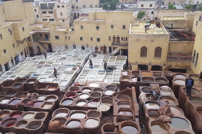 Fez Medina half day walking Tour - How the Guide Keeps You Oriented (Coffee or Tea Included)