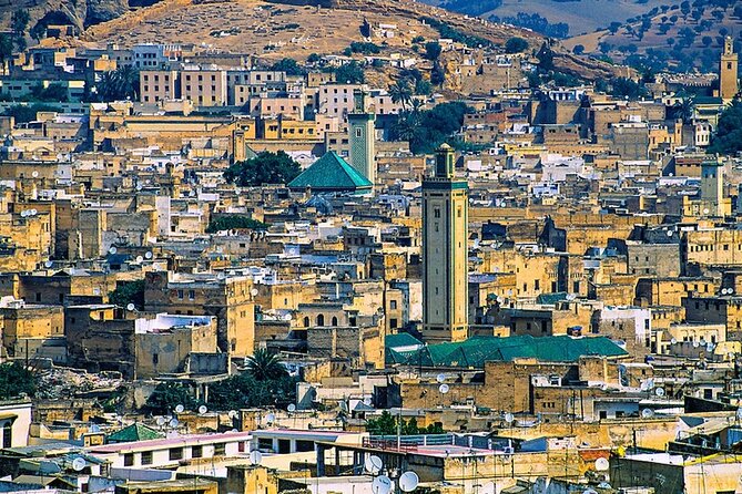 Fez Medina, Walking Daytime Tour - Chouara Tannery: the famous dye pits and the real leather process