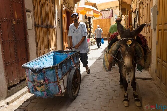 Fez to Chefchaouen day trip - Talassemtan National Park: Forest Air After the Medina