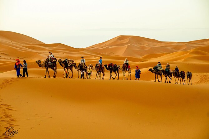 Fez to Marrakech via Merzouga Desert - 3 Day Desert Tour - Key highlights worth knowing before you go