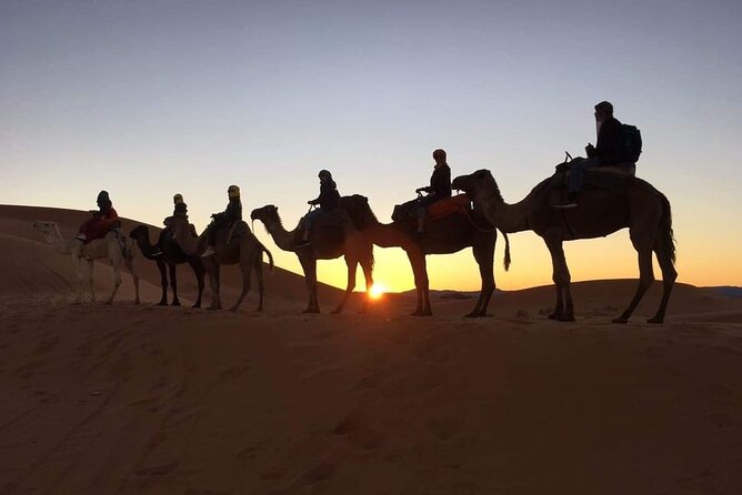 Fez to Marrakech via Merzouga Desert - 3 Day Desert Tour - Fes to Ifrane: starting with a big culture shift