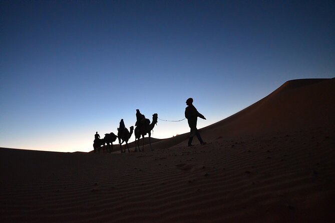 Fez to Marrakech via Merzouga Desert - 3 Day Desert Tour - Merzouga arrival: that first camel ride to the desert camp