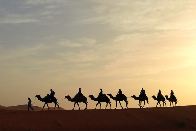 Fez to Marrakech via Merzouga Desert - 3 Day Desert Tour - Todra Gorges: the canyon break (and why it’s worth walking)