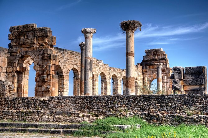 Fez to Meknes,Moulay Idriss & Volubilis Day Trip - One Day, Three Big Stops From Fez