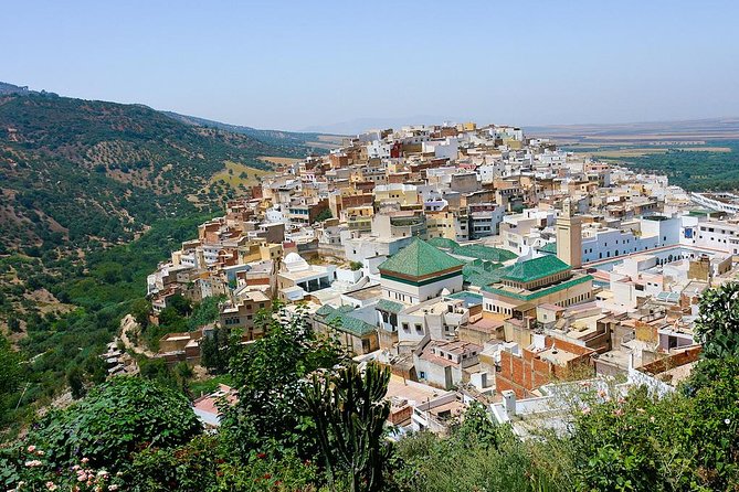 Fez to Meknes,Moulay Idriss & Volubilis Day Trip - La Grande Terrasse at Moulay Idriss Zerhoun: Walls, Schools, and a Mausoleum
