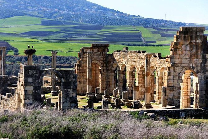 Fez to Meknes,Moulay Idriss & Volubilis Day Trip - Volubilis (Oualili): Morocco’s Most Preserved Roman Ruins