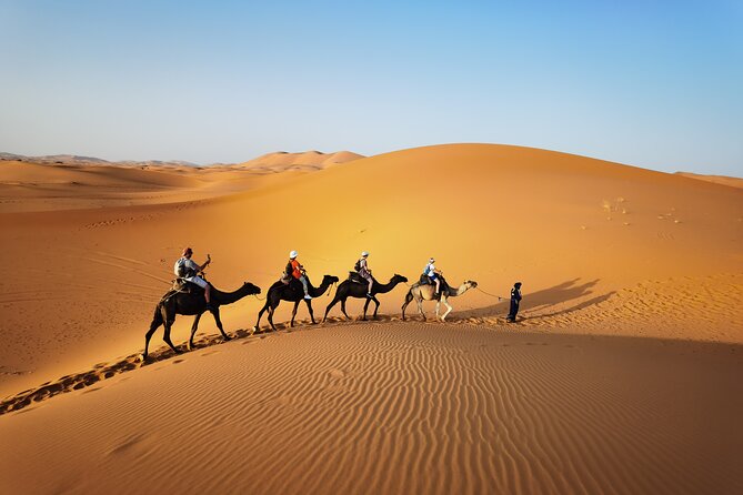 Fez to Merzouga Desert Trip camel ride and night camp - Key highlights to know before you go